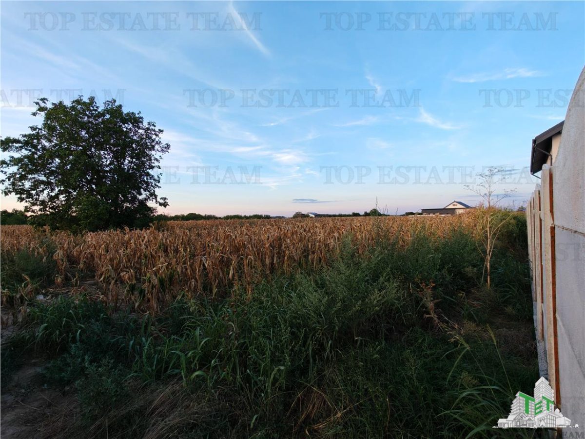 Teren intravilan pentru constructii stradal, 2965 mp, cu toate utilitatile si deschidere la 2 strazi, comuna 1 Decembrie - foto 3