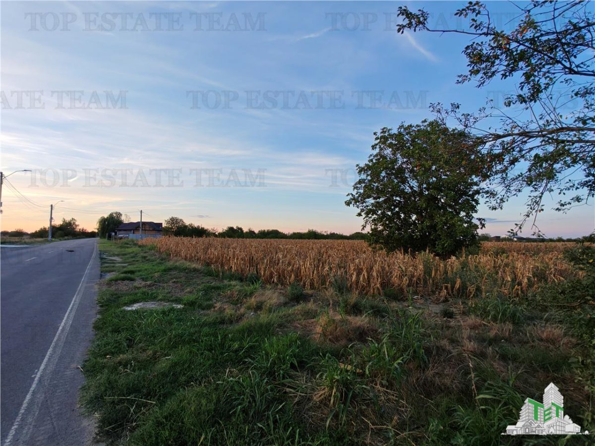 Teren intravilan pentru constructii stradal, 2965 mp, cu toate utilitatile si deschidere la 2 strazi, comuna 1 Decembrie - foto 4