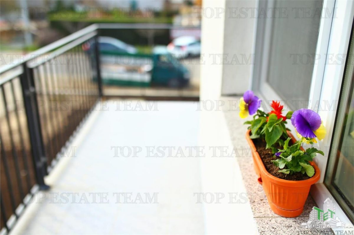 AFACERE LA CHEIE VILA  17 CAMERE 17 BAI EFORIE NORD - foto 22