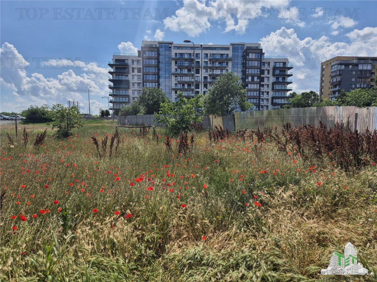 OPORTUNITATE INVESTITIE VILA CU 3000 MP PALAZU MARE - foto 9