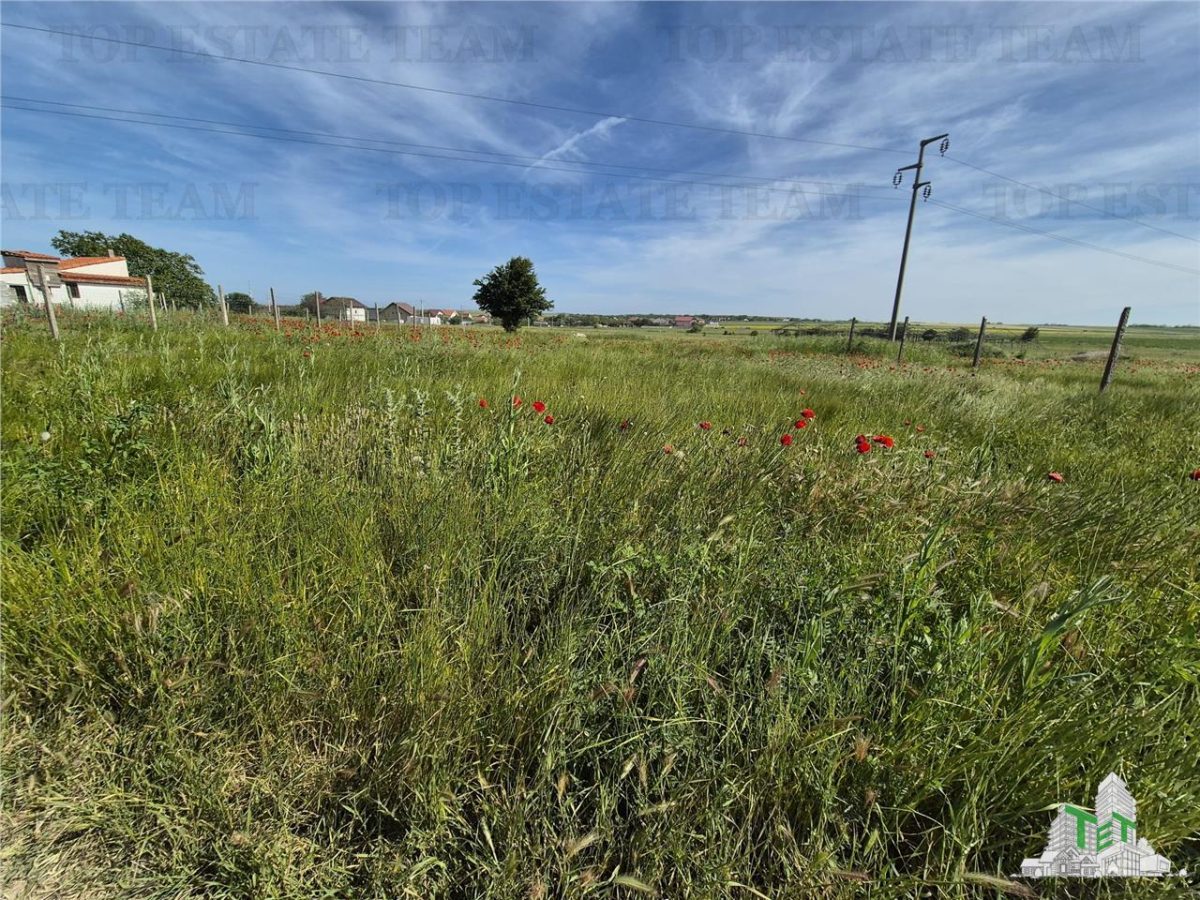 Teren intravilan Techirghiol - foto 2