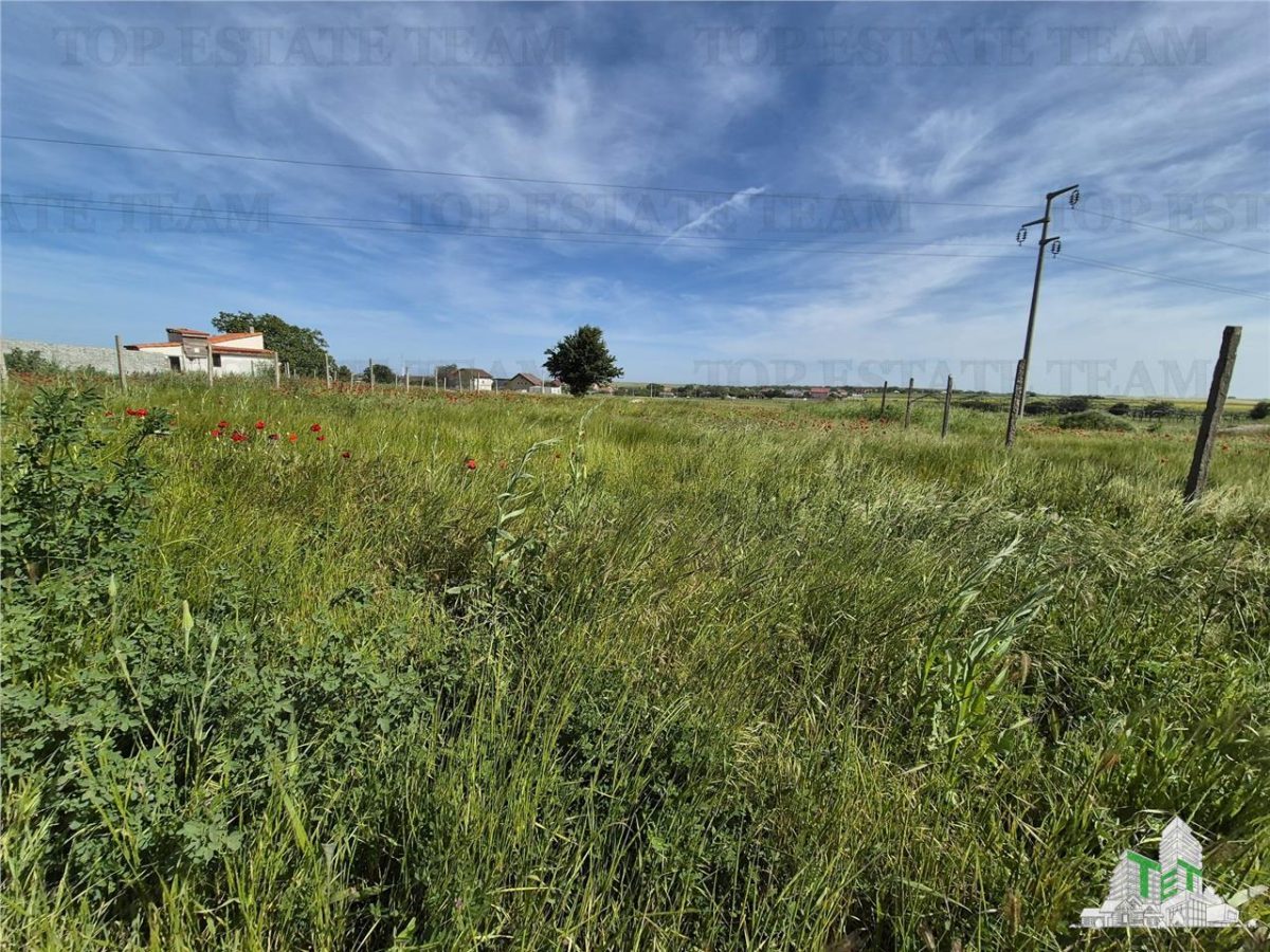 Teren intravilan Techirghiol - foto 3