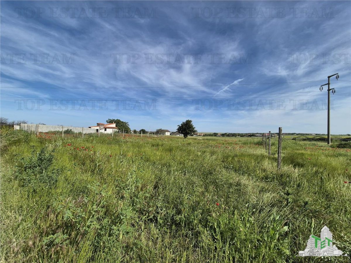 Teren intravilan Techirghiol - foto 4