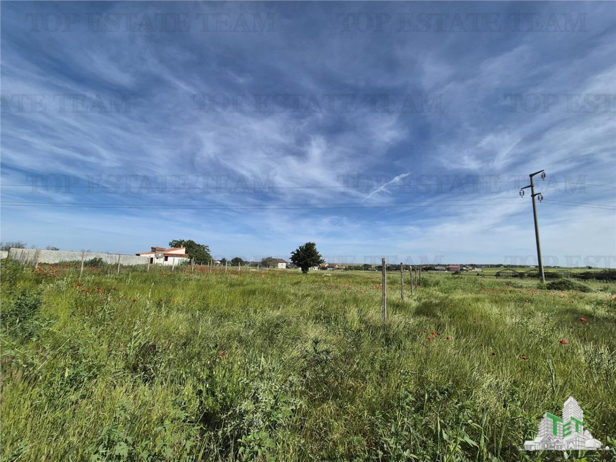 Teren intravilan Techirghiol - foto 5