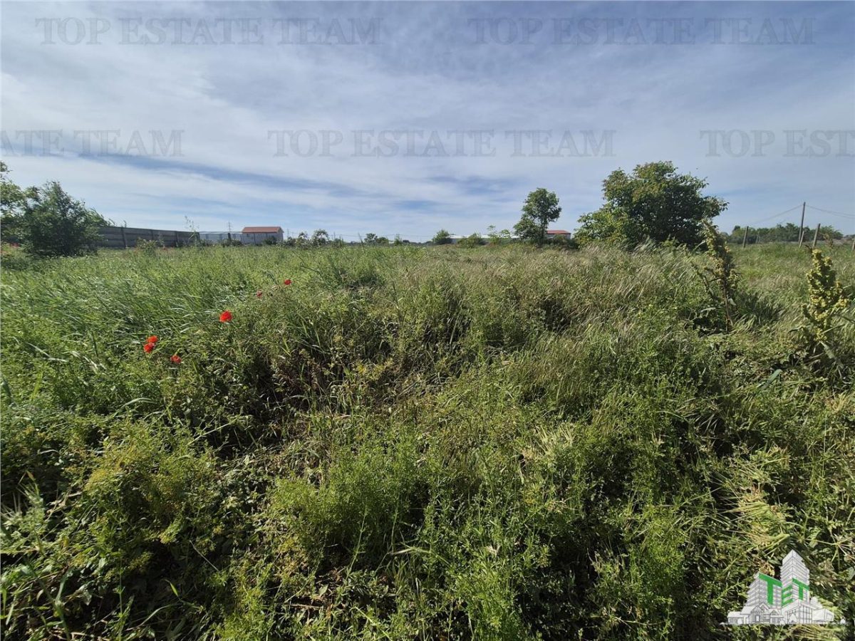 Teren intravilan zona Viile noi-km5 - foto 5