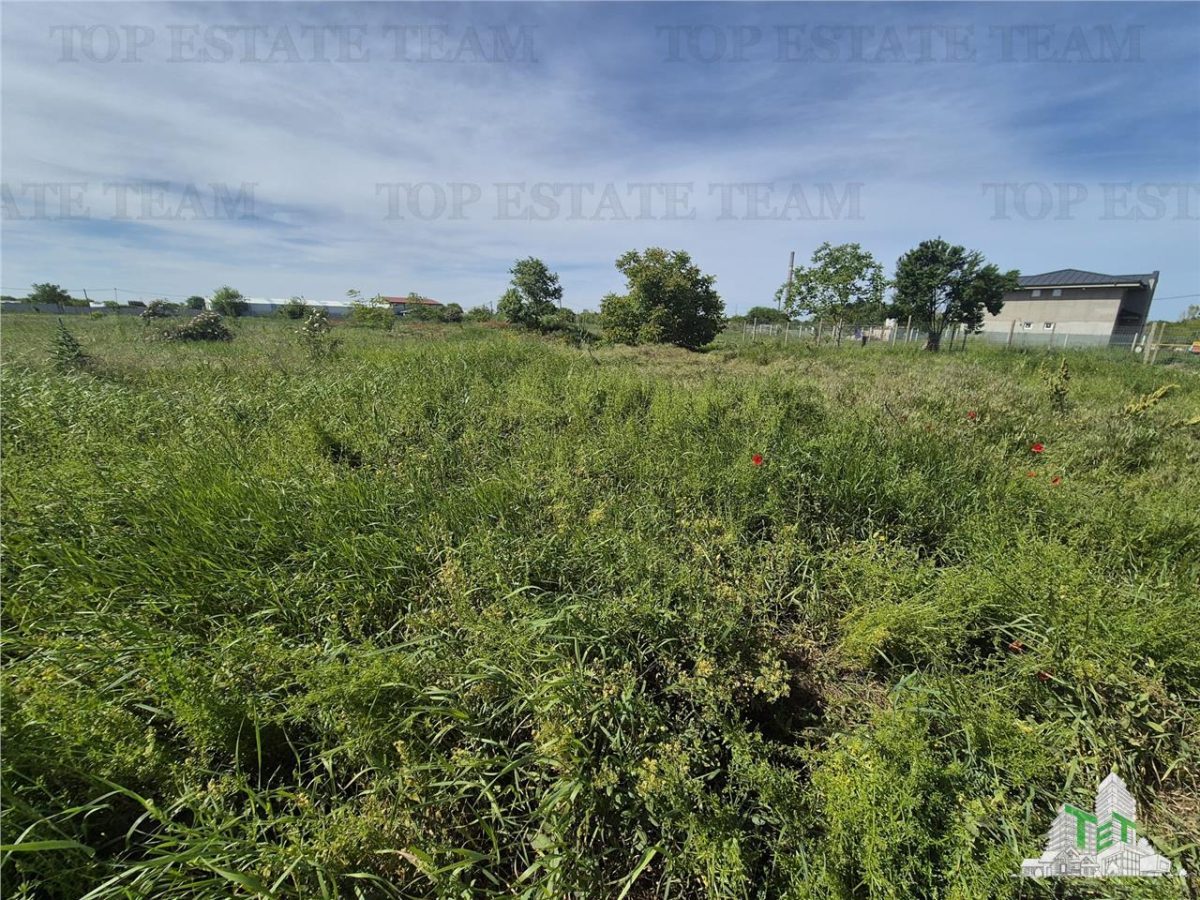 Teren intravilan zona Viile noi-km5 - foto 6