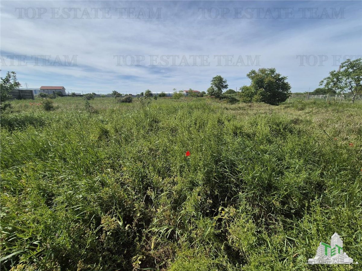 Teren intravilan zona Viile noi-km5 - foto 7