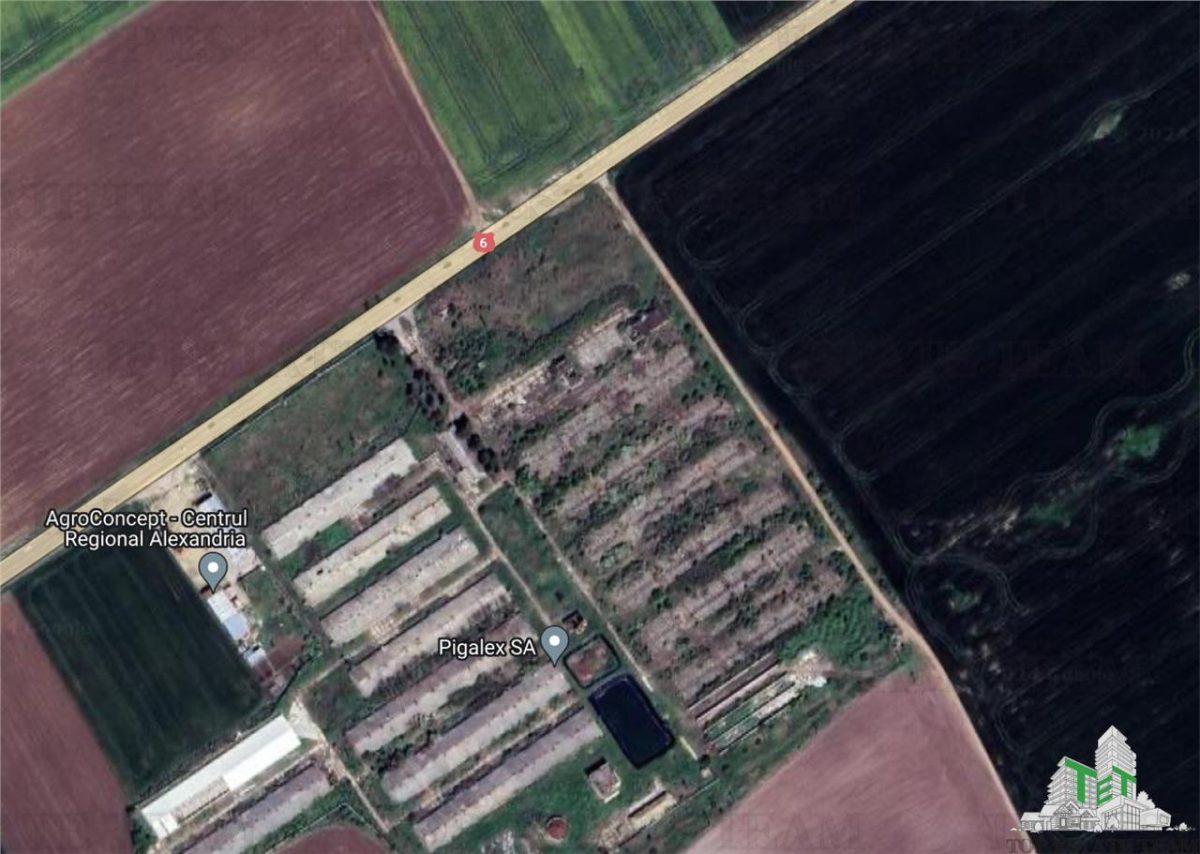 Teren intravilan constructii 4ha cu deschidere la drum european - 