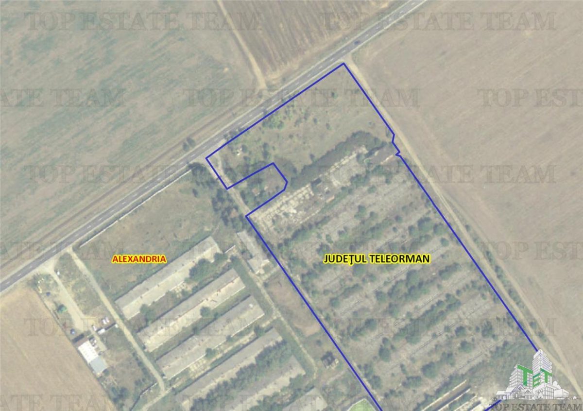 Teren intravilan constructii 4ha cu deschidere la drum european - foto 2