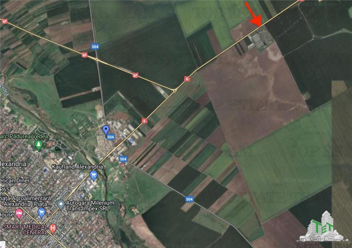 Teren intravilan constructii 4ha cu deschidere la drum european - foto 3