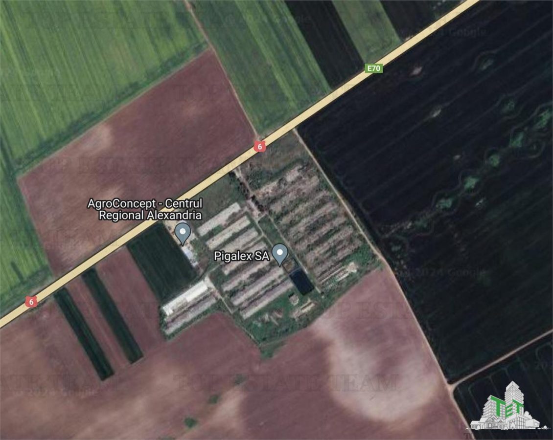 Teren intravilan constructii 4ha cu deschidere la drum european - foto 4