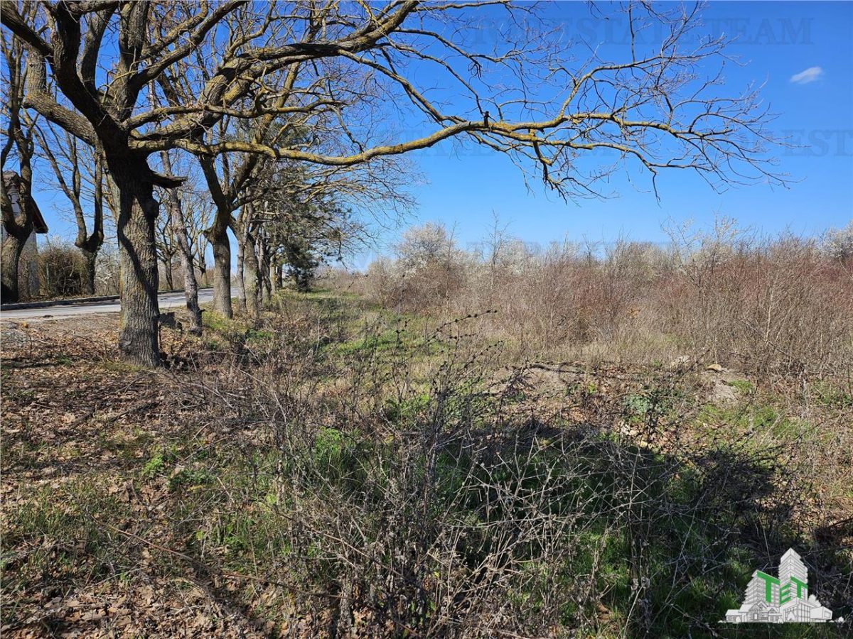 TEREN 23 AUGUST 4000 MP - foto 5