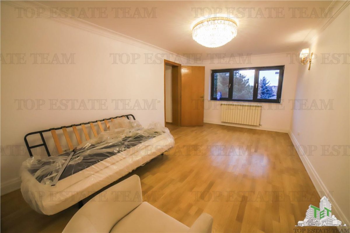 Vila pretabila rezidenta/office Iancu Nicolae - foto 2