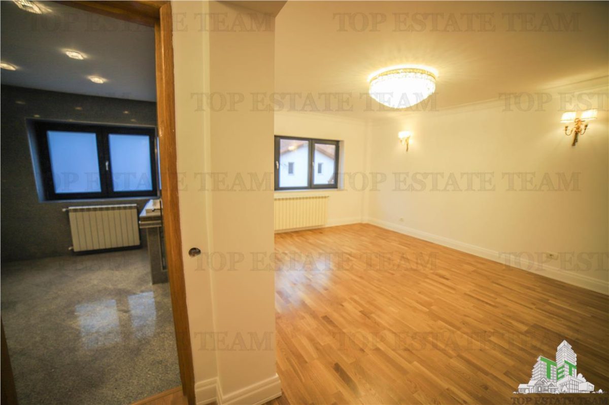 Vila pretabila rezidenta/office Iancu Nicolae - foto 11