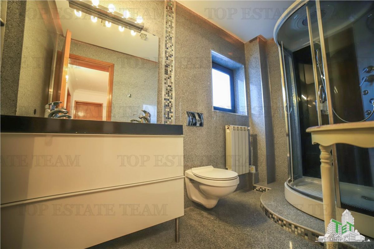 Vila pretabila rezidenta/office Iancu Nicolae - foto 12