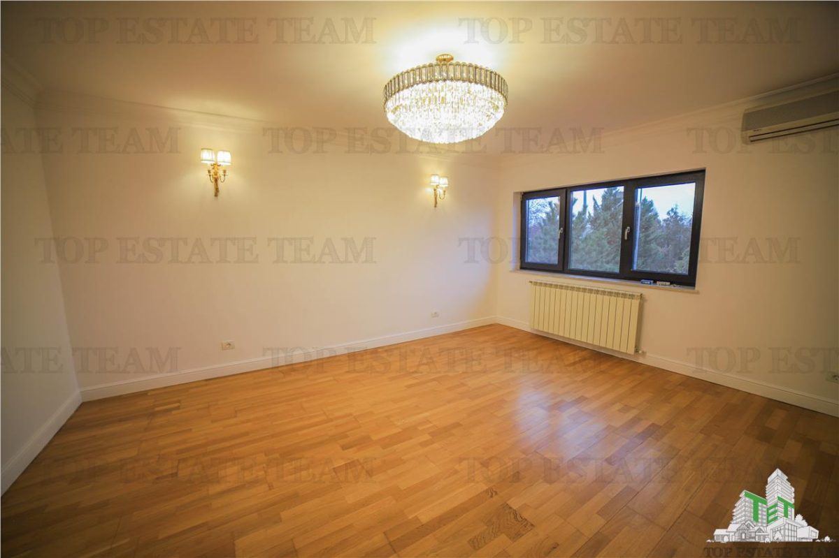 Vila pretabila rezidenta/office Iancu Nicolae - foto 15