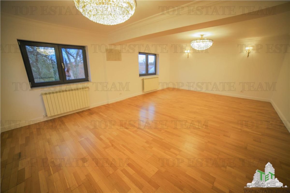 Vila pretabila rezidenta/office Iancu Nicolae - foto 16