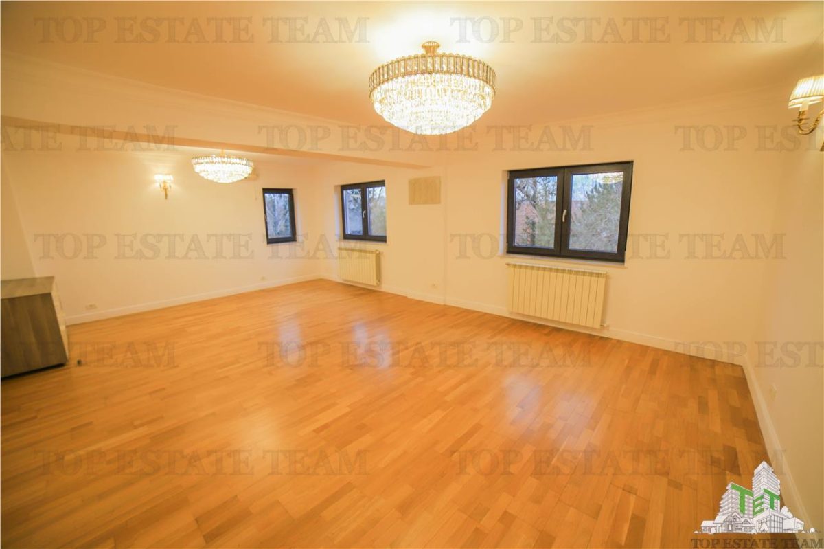 Vila pretabila rezidenta/office Iancu Nicolae - foto 17