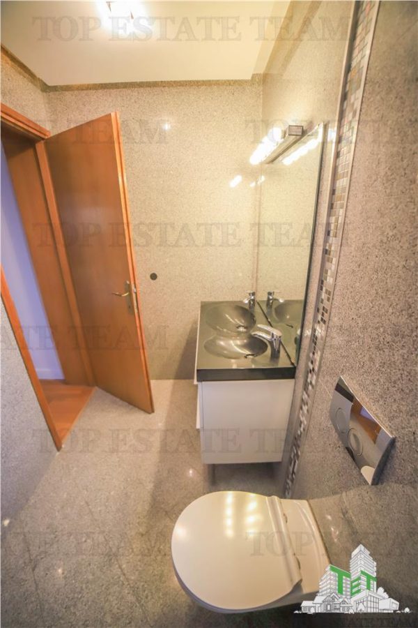 Vila pretabila rezidenta/office Iancu Nicolae - foto 18