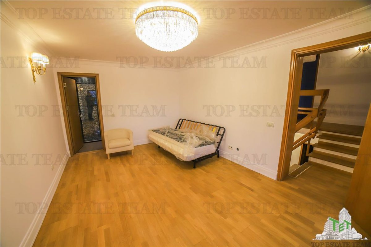 Vila pretabila rezidenta/office Iancu Nicolae - foto 3