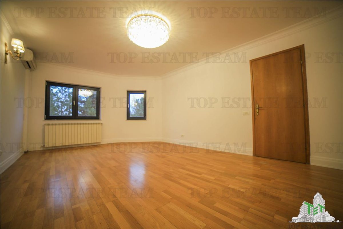 Vila pretabila rezidenta/office Iancu Nicolae - foto 8