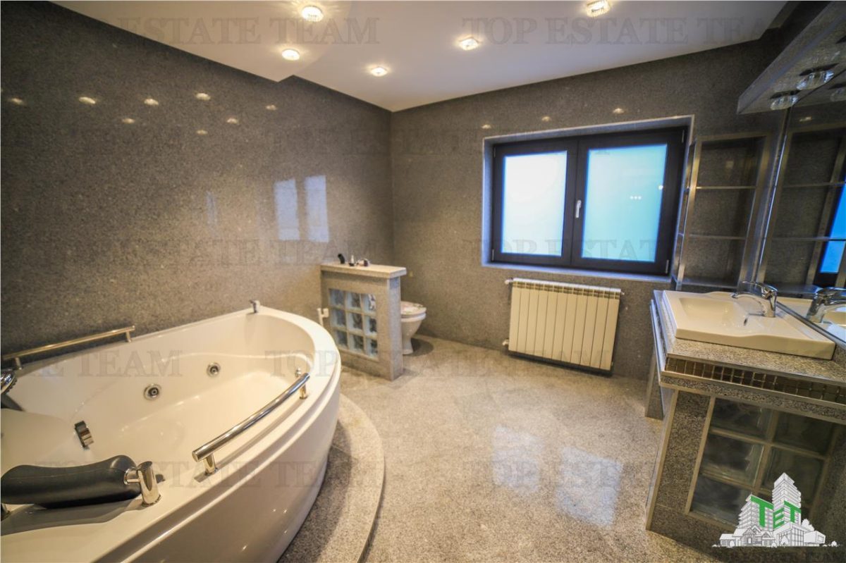 Vila pretabila rezidenta/office Iancu Nicolae - foto 10