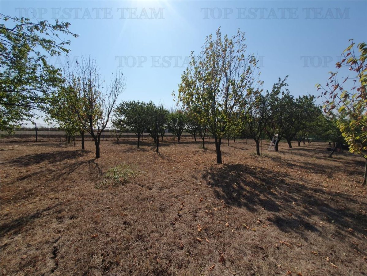 Teren intravilan agricol si teren curti constructii Lot 2 Parcela A326/49 - foto 2