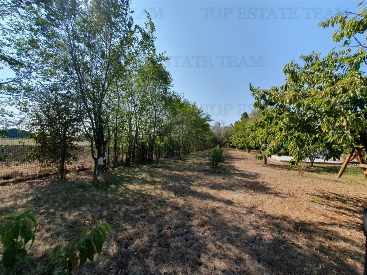 Teren intravilan agricol si teren curti constructii Lot 2 Parcela A326/49 - foto 11