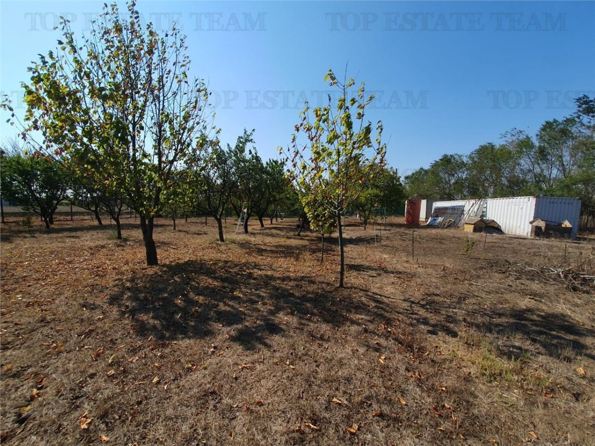 Teren intravilan agricol si teren curti constructii Lot 2 Parcela A326/49 - foto 12