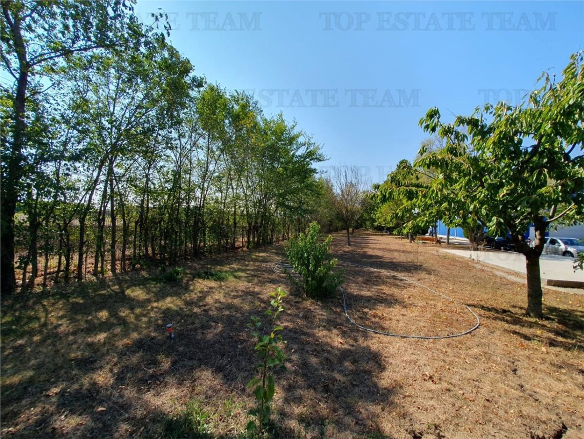 Teren intravilan agricol si teren curti constructii Lot 2 Parcela A326/49 - foto 13