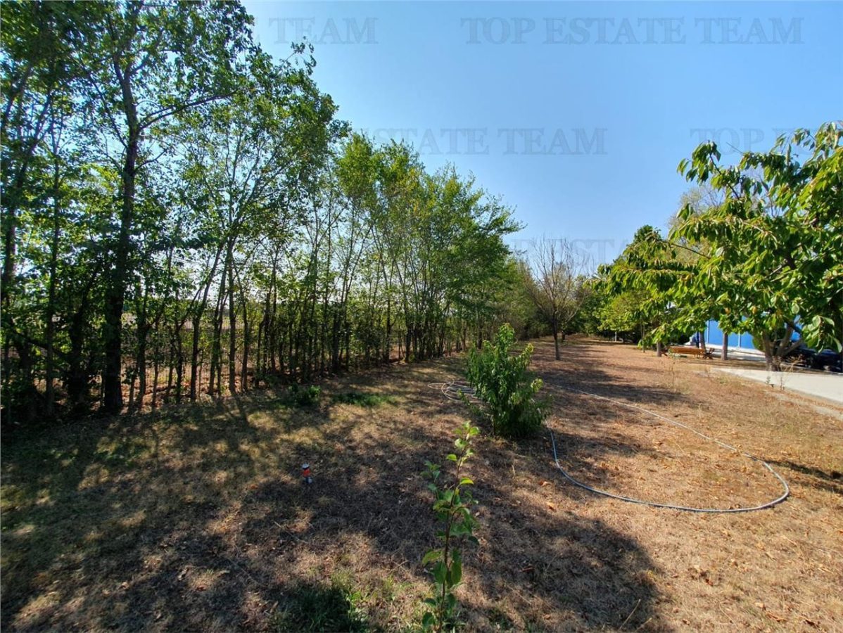 Teren intravilan agricol si teren curti constructii Lot 2 Parcela A326/49 - foto 14