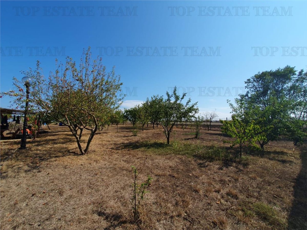 Teren intravilan agricol si teren curti constructii Lot 2 Parcela A326/49 - foto 15