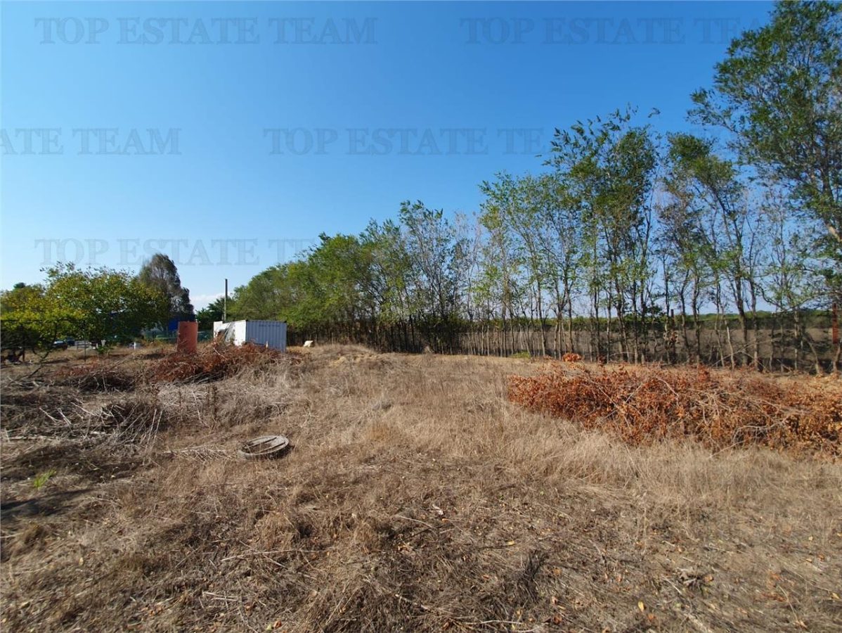 Teren intravilan agricol si teren curti constructii Lot 2 Parcela A326/49 - foto 16