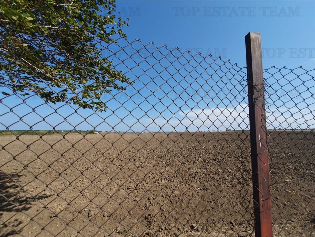 Teren intravilan agricol si teren curti constructii Lot 2 Parcela A326/49 - foto 17