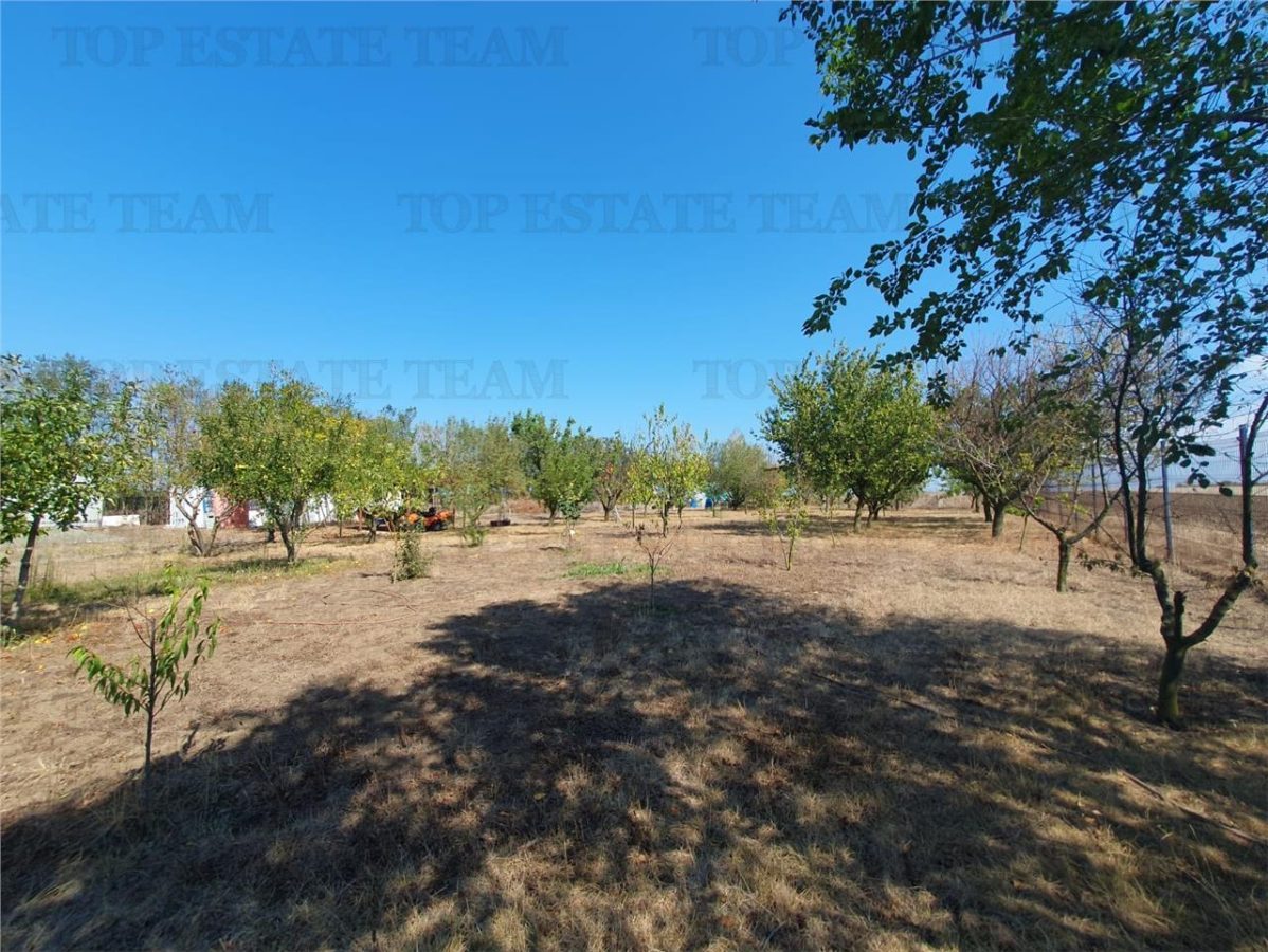 Teren intravilan agricol si teren curti constructii Lot 2 Parcela A326/49 - foto 18