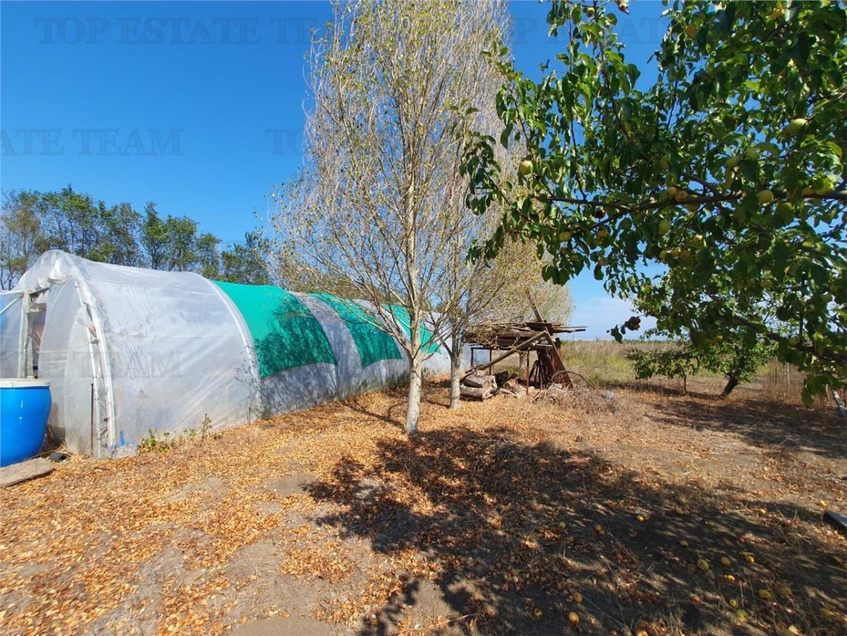 Teren intravilan agricol si teren curti constructii Lot 2 Parcela A326/49 - foto 3