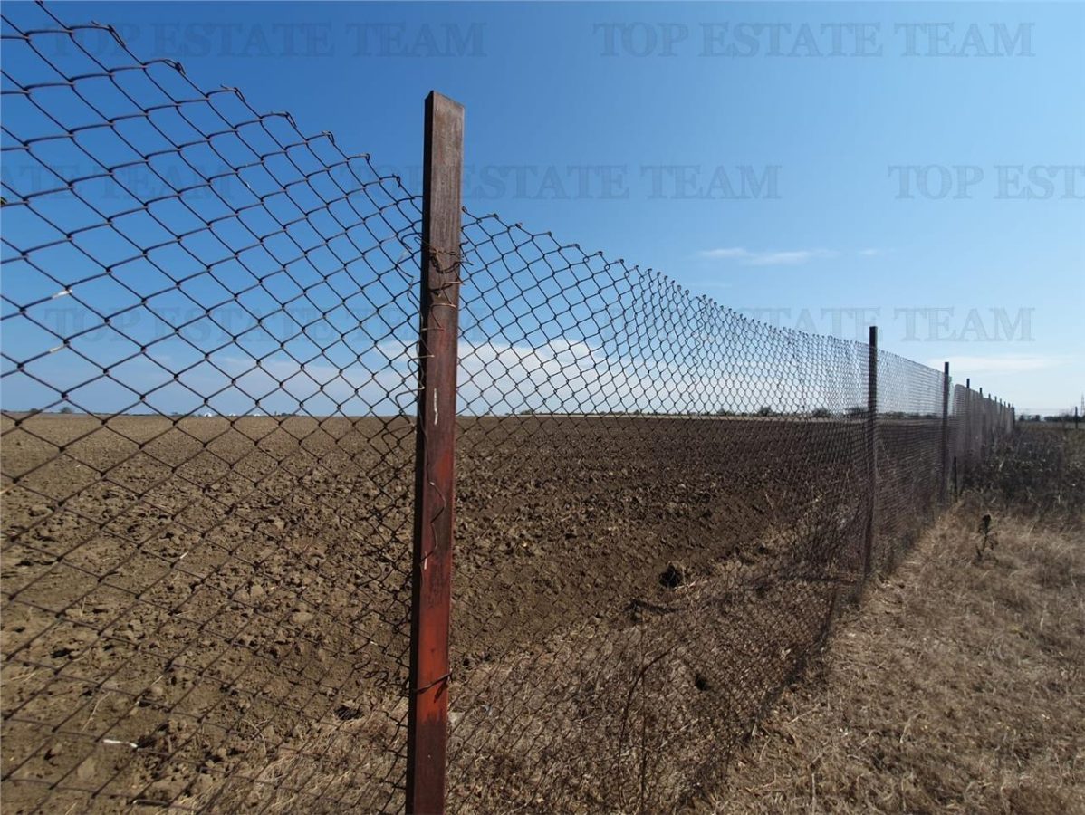 Teren intravilan agricol si teren curti constructii Lot 2 Parcela A326/49 - foto 8