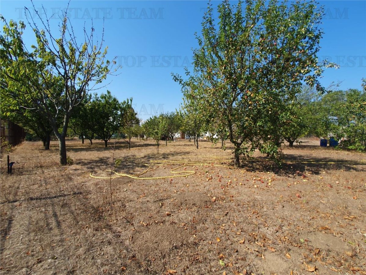 Teren intravilan agricol si teren curti constructii Lot 2 Parcela A326/49 - foto 9