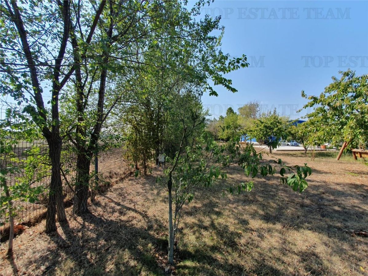 Teren intravilan agricol si teren curti constructii Lot 2 Parcela A326/49 - foto 10