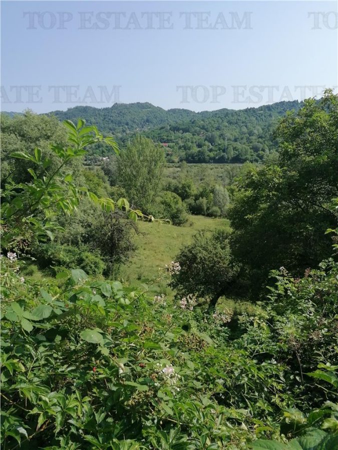 Teren 11230 m.p.  + Conac - necesita renovare - foto 3