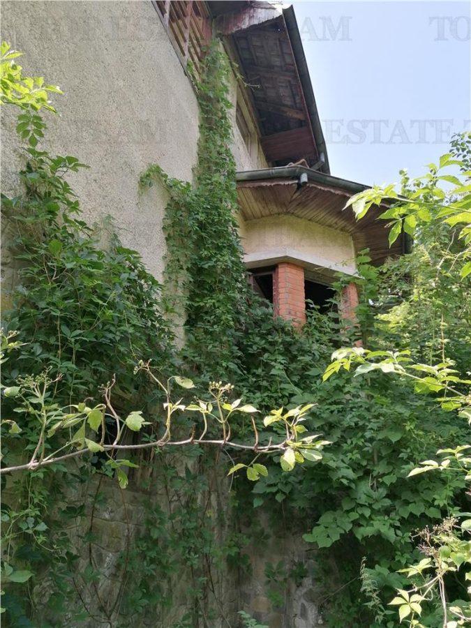 Teren 11230 m.p.  + Conac - necesita renovare - foto 5