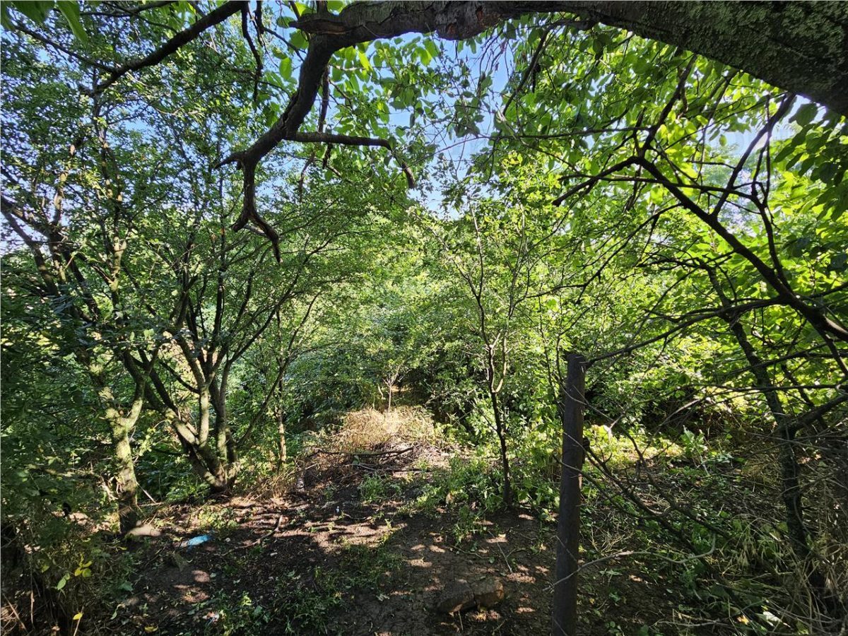 Casa la curte cu teren 646mp in Chiajna - foto 3