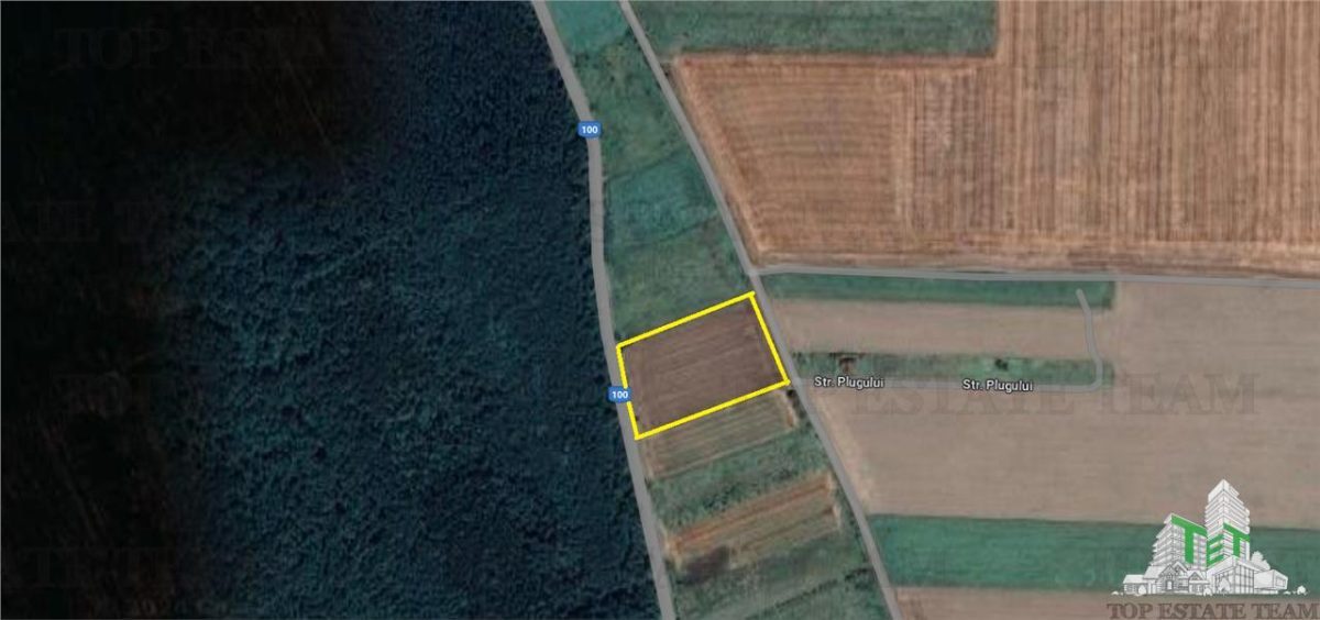 Teren de vanzare Branesti, iesire la Autostrada Soarelui - foto 3