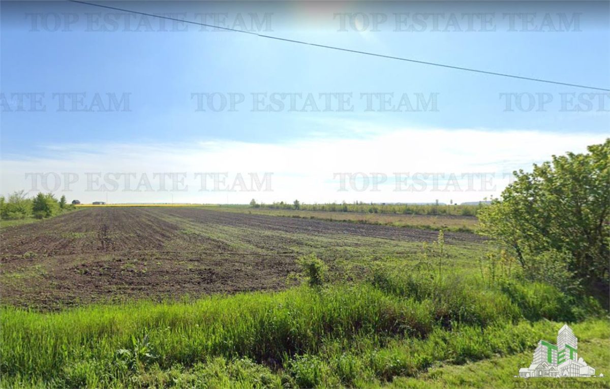 Teren de vanzare Branesti, iesire la Autostrada Soarelui - foto 9