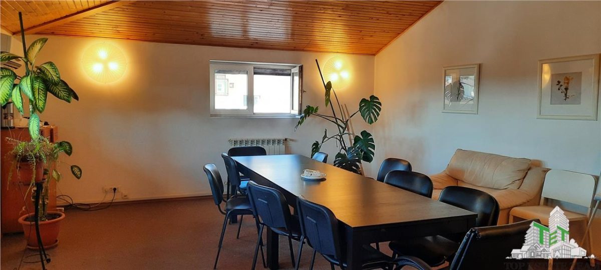 Vanzare spatiu birou/avocatura/notariat ,vila constructie 2004, zona Domenii, locatie premium - foto 10