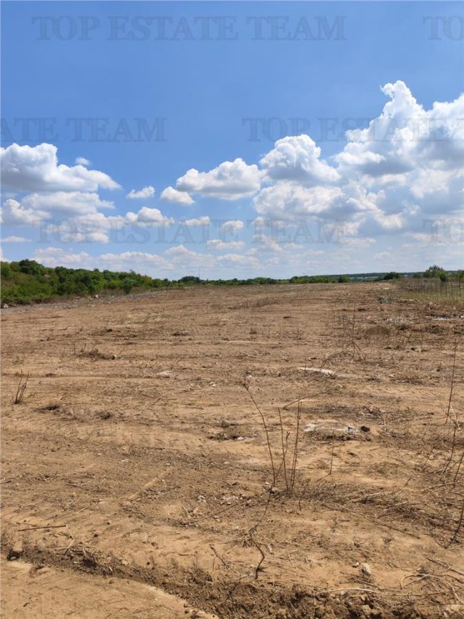Teren intravilan de vanzare 28.200 mp Bucuresti Sector 6 - foto 5