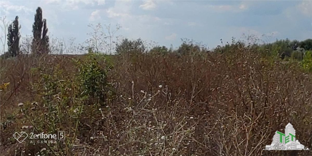 Teren intravilan de vanzare 28.200 mp Bucuresti Sector 6 - foto 7