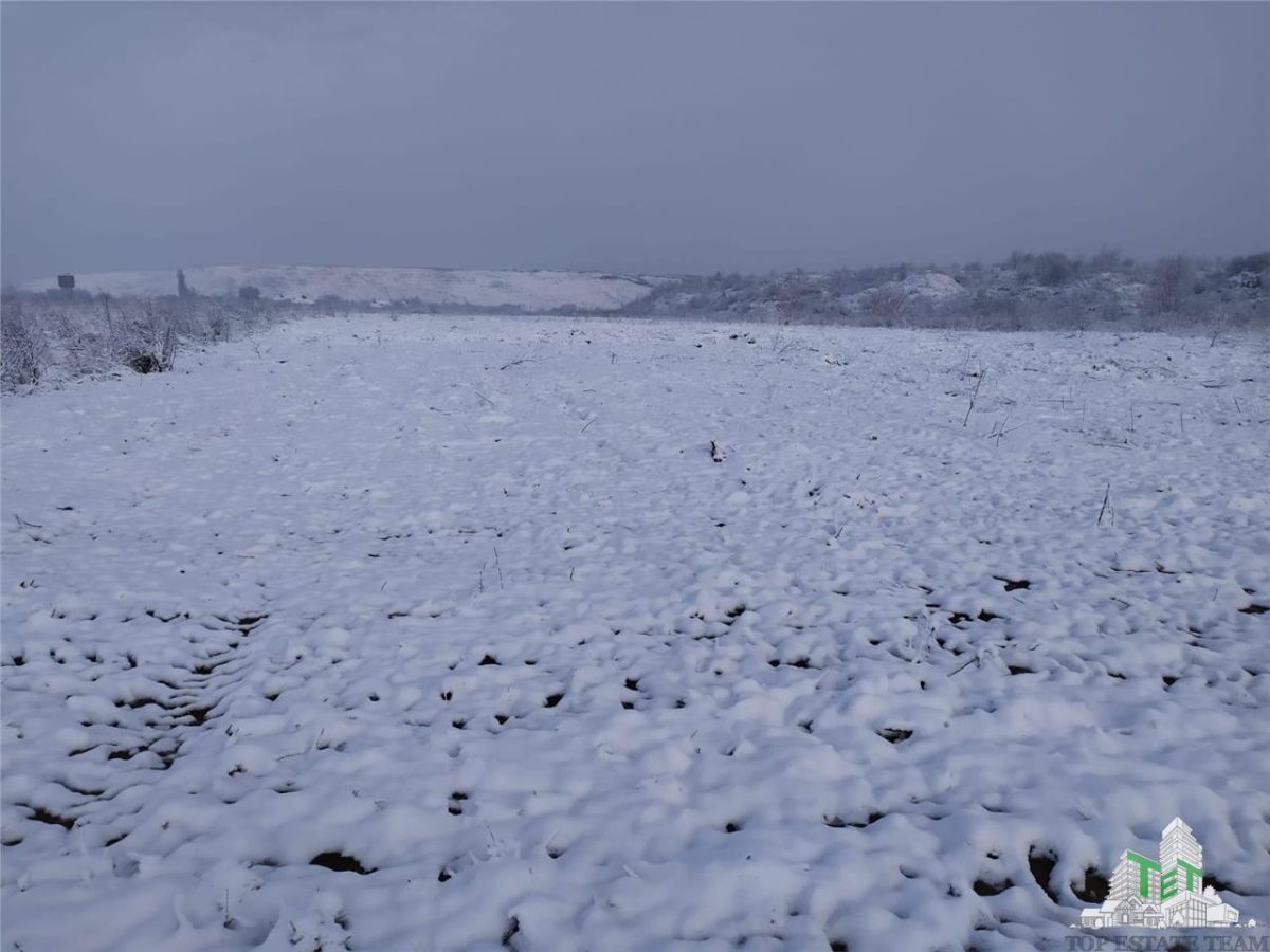 Teren intravilan de vanzare 28.200 mp Bucuresti Sector 6 - foto 8