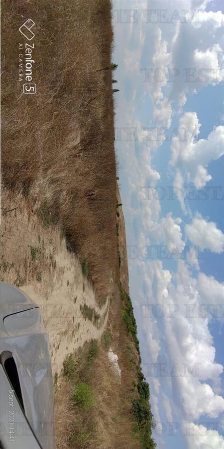 Teren intravilan de vanzare 28.200 mp Bucuresti Sector 6 - foto 10