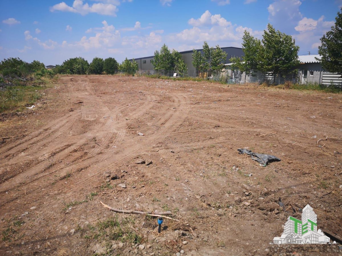 Teren 3096mp Otopeni - la asfalt, 27m deschidere - foto 2
